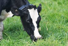 Beefing up service for producers with virtual fencing subscription add-on