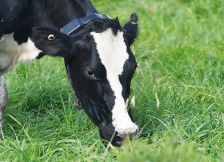 Beefing up service for producers with virtual fencing subscription add-on