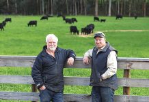 Gippsland father and son of highlight importance of working safely around tractors