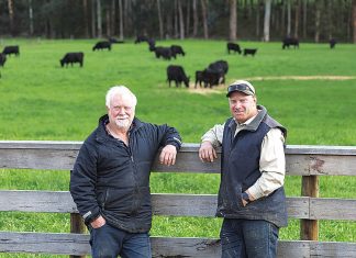 Gippsland father and son of highlight importance of working safely around tractors