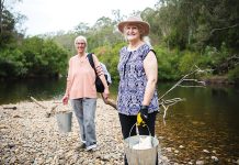 Celebrating 40 years of Landcare