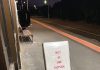 Tap and go rollout expands to Rosedale, Stratford, Sale and Bairnsdale stations