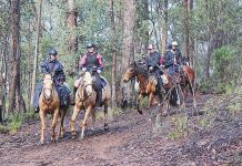 Tambo Upper Trail Riding Club to ride at Valencia Creek