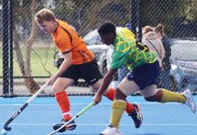 Wellington out-played at home