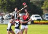 Gippsland League footy: Eagles push premiers
