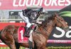 Local winner to end season
