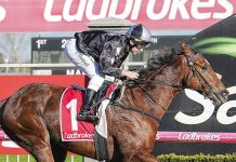 Local winner to end season