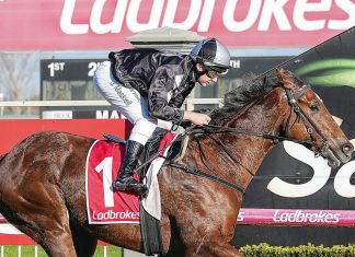 Local winner to end season