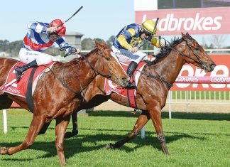 Racing: Brownes bag winning double