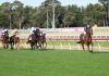 Local winner at Greenwattle