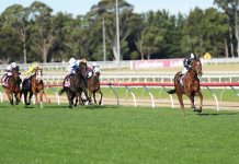Local winner at Greenwattle