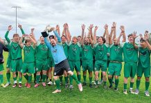 Swans overcome Falcons