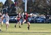 Bombers down, but not out