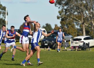 More big wins in North Gippy