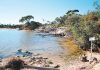 DEECA updates on coastal erosion at Loch Sport