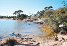 DEECA updates on coastal erosion at Loch Sport