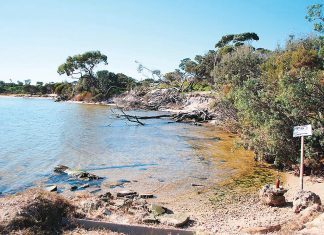 DEECA updates on coastal erosion at Loch Sport