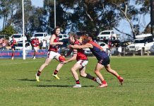 Defeats end seasons for Eagles, Magpies