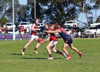 Defeats end seasons for Eagles, Magpies