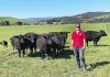 Gippsland Red Meat Conference preview