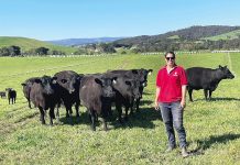 Gippsland Red Meat Conference preview