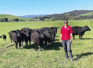 Gippsland Red Meat Conference preview