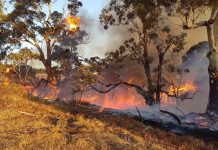 Fire Danger Period to begin in Wellington, East Gippsland next week