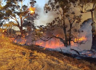 Fire Danger Period to begin in Wellington, East Gippsland next week