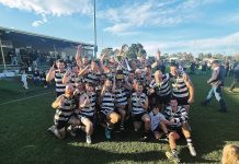 Cats get the cream in 2026