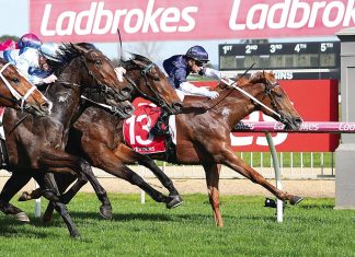 Sensational racing at Sale