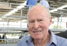 Remembering Brendon Lewis Lee
