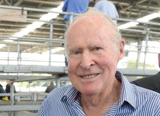 Remembering Brendon Lewis Lee