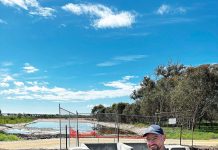 Restoring the beating heart of wetlands