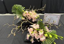 Creativity in full bloom