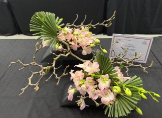 Creativity in full bloom