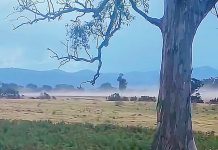 Dust a worry for Fingerboards mine opponents