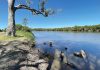 Making a difference to Gippsland Lakes is a team effort