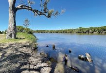 Making a difference to Gippsland Lakes is a team effort