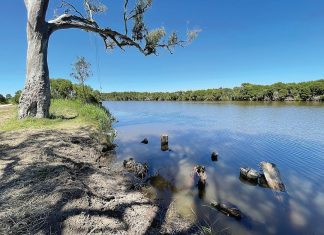 Making a difference to Gippsland Lakes is a team effort
