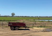 VFF making push to boost memberships