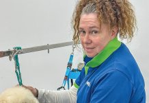 Be aware of ticks on your pets in Gippsland
