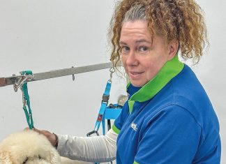 Be aware of ticks on your pets in Gippsland