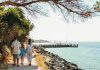 Tourism operators urged to watch out for bird flu