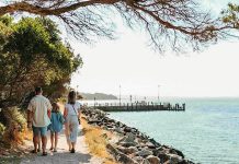 Tourism operators urged to watch out for bird flu