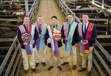 Local auctioneers among the best