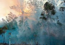 Prepare water for fire season