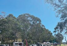 A festival of activities for everyone
