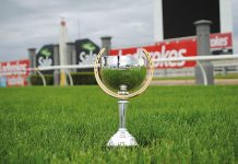 Races moved – focus now on Cup