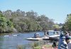 Rowers gather at local regatta
