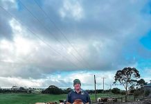 Virtual fencing marks new era